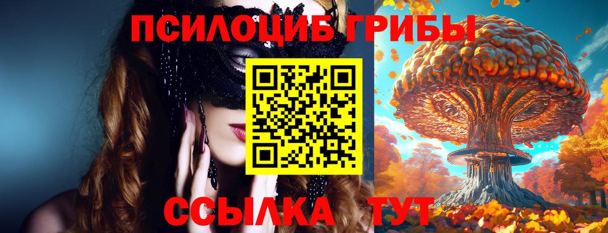 Галлюциногенные грибы Psilocybe Каменск-Шахтинский