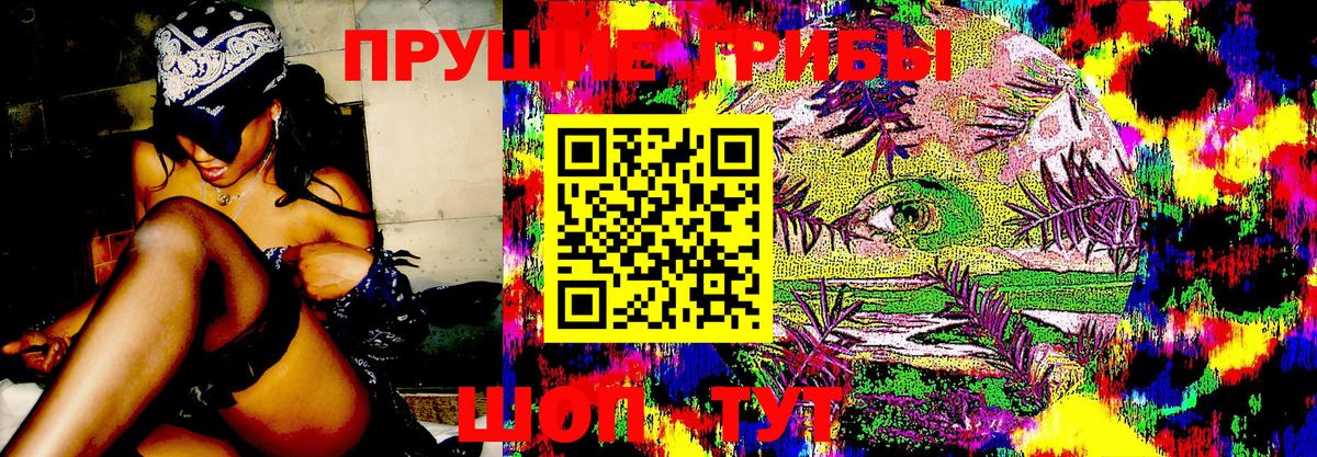 Псилоцибиновые грибы Psilocybe  Псилоцибиновые грибы мухоморы  дарнет шоп  Вход с VPN  Каменск-Шахтинский 